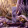 ​Oudh Lavender 