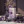 Purple Musk